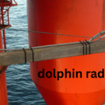 dolphin radar